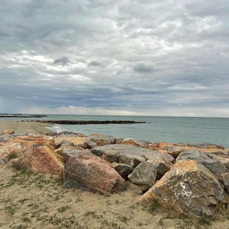 Port Barcares Vue Port Et Mer Le Barcarès Exteriér fotografie