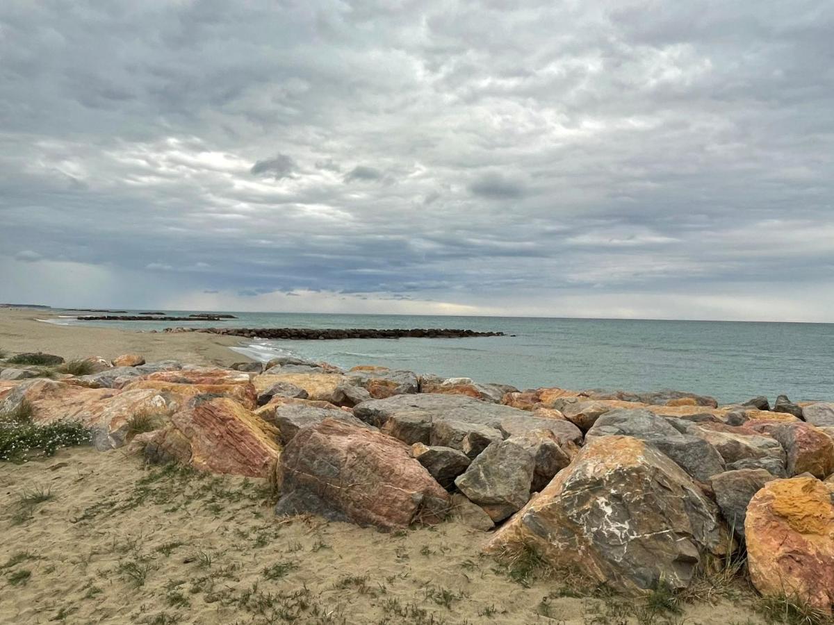 Port Barcares Vue Port Et Mer Le Barcarès Exteriér fotografie